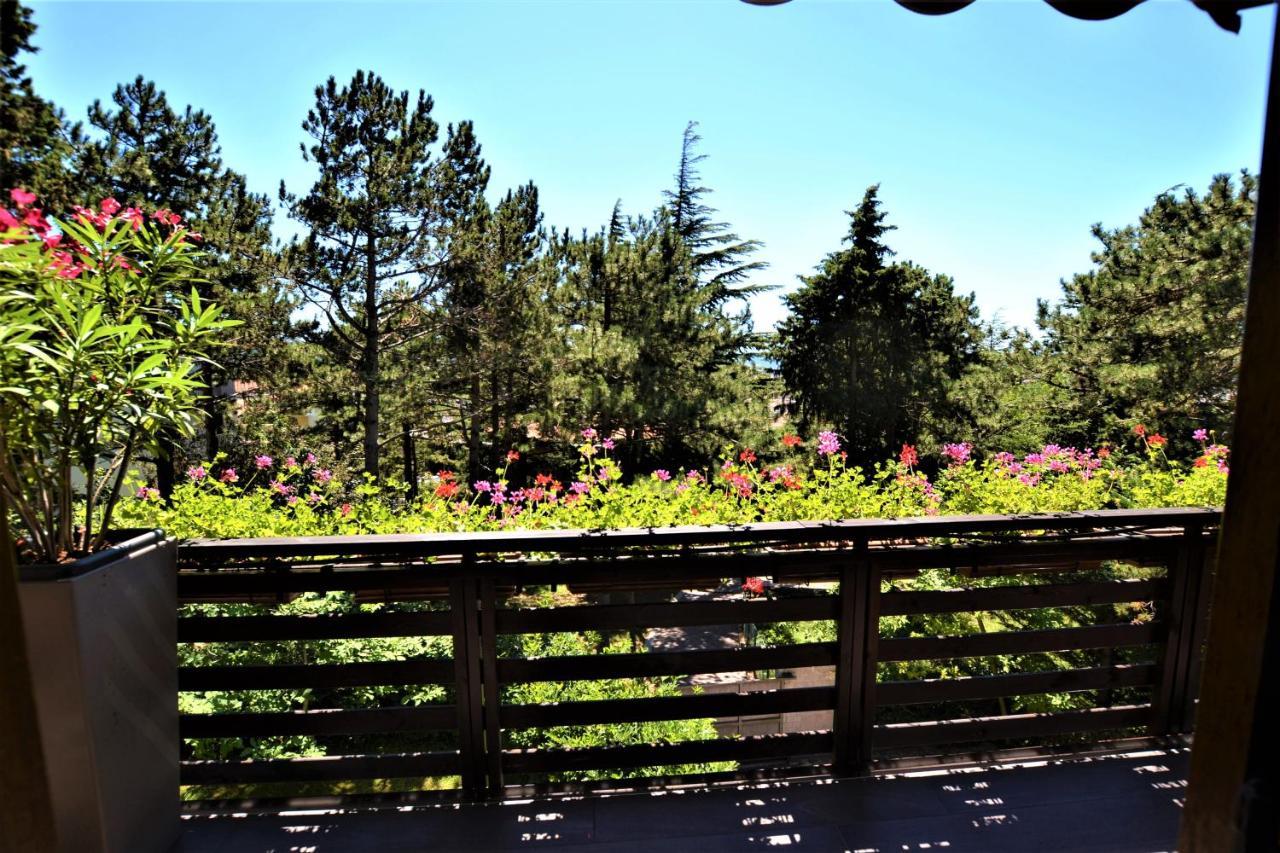 Triestè59 B&B Esterno foto